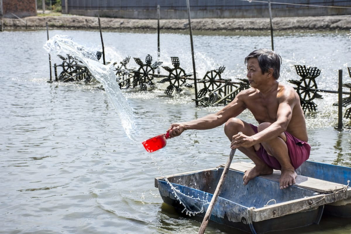 Pushing Vietnam&rsquo;s shrimp industry toward sustainability